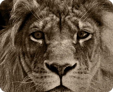 LaserPecker LP2 engraver for affordable engraving